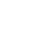 vanslogo